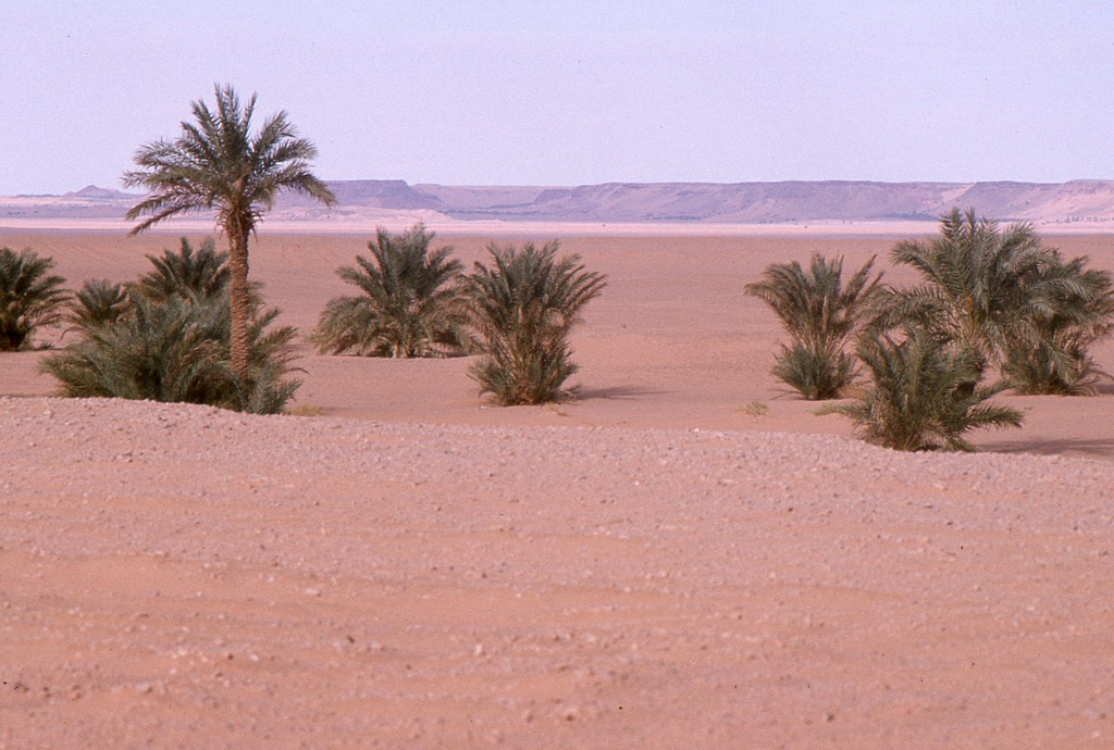 325.jpg