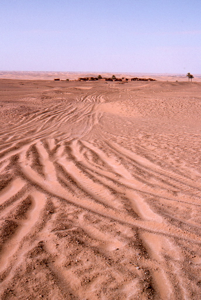 326.jpg