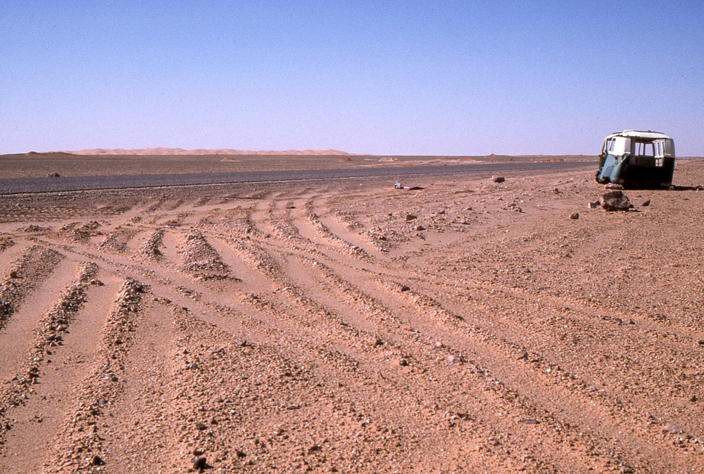 329.jpg
