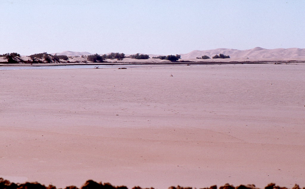 331.jpg