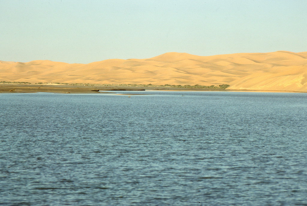 336.jpg