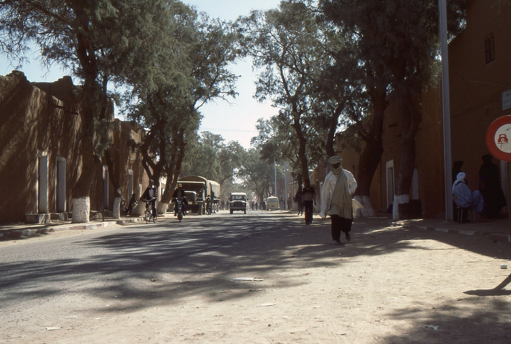359.jpg