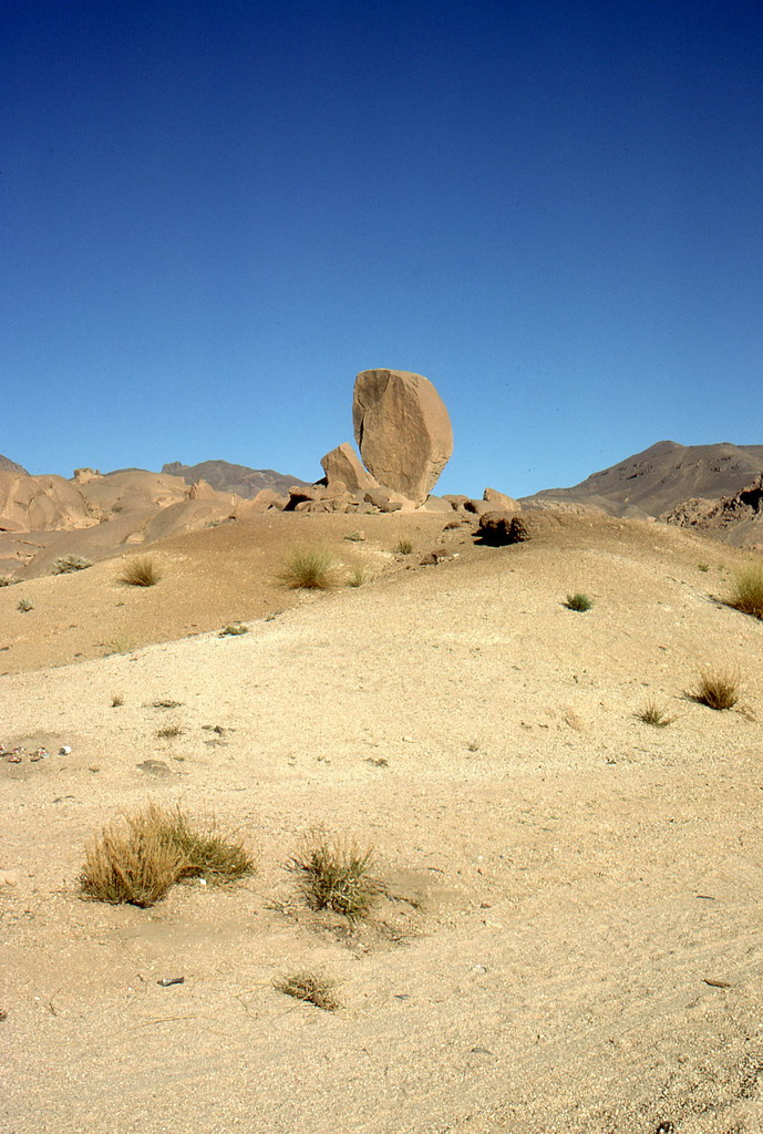 385.jpg