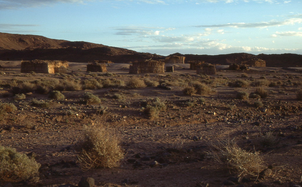 386.jpg