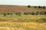 067.jpg 067.jpg