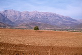 094.jpg 094.jpg