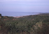 098.jpg 098.jpg