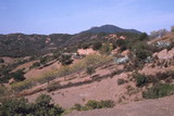 109.jpg 109.jpg