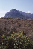 110.jpg 110.jpg