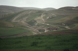 136.jpg 136.jpg