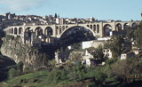 137.jpg 137.jpg
