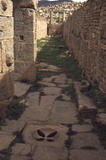 145.jpg 145.jpg