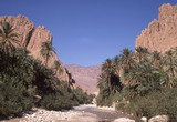 157.jpg 157.jpg