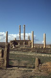 169.jpg 169.jpg