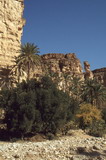186.jpg 186.jpg