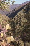 191.jpg 191.jpg