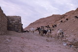 196.jpg 196.jpg