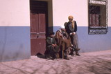 199.jpg 199.jpg