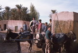 206.jpg 206.jpg