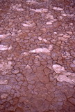216.jpg 216.jpg