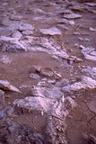 217.jpg 217.jpg
