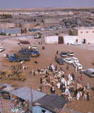 226.jpg 226.jpg
