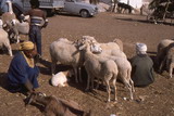 227.jpg 227.jpg