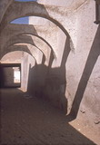 229.jpg 229.jpg