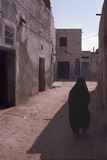 231.jpg 231.jpg