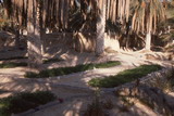 235.jpg 235.jpg