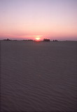 237.jpg 237.jpg