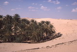 240.jpg 240.jpg