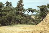 266.jpg 266.jpg