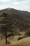 267.jpg 267.jpg