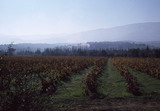 270.jpg 270.jpg