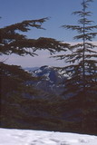 272.jpg 272.jpg