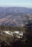 273.jpg 273.jpg