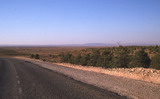 276.jpg 276.jpg