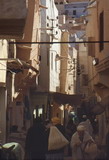 292.jpg 292.jpg