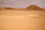 305.jpg 305.jpg