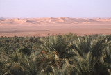 314.jpg 314.jpg