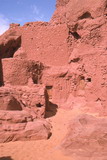 319.jpg 319.jpg