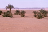 325.jpg 325.jpg