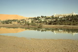 338.jpg 338.jpg