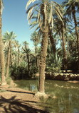 346.jpg 346.jpg
