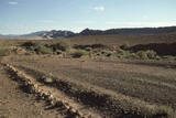 347.jpg 347.jpg