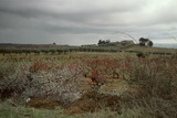 352.jpg 352.jpg