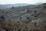 353.jpg 353.jpg