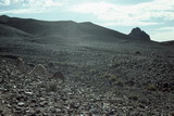 376.jpg 376.jpg