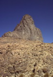 377.jpg 377.jpg